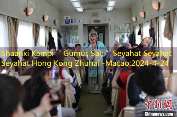 Shaanxi Kampı ＂Gümüş Saç＂ Seyahat Seyahat Seyahat Hong Kong Zhuhai -Macao