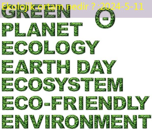 Ekolojik ortam nedir？
